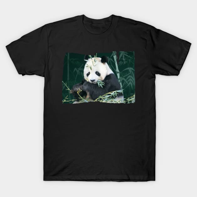 Panda With Bamboo T-Shirt by quingemscreations